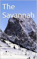 The Savannah by Kevin McLaughlin