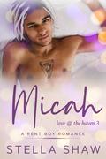 Micah (Love at the Haven #3) by Stella Shaw