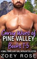 Curvy Wives of Pine Valley Books 1-5: A Small Town, Curvy Girl, Instalove Collection by Zoey Rose