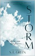 Storm (Dissonance #6) by S.E. Green