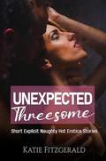 Unexpected MMF Threesome! Enjoy an Adult Erotic Bundle of 15 Short Explicit Naughty Hot Erotica Story by Katie Fitzgerald