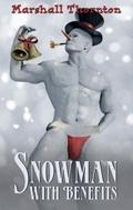 Snowman With Benefits by Marshall Thornton