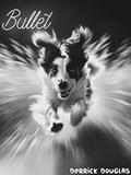 Bullet by Derrick Douglas