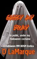 Gagged and Bound in Public, Under my Halloween Costume (Halloween MM Kink BDSM Bondage Erotica #2) by D LaMarque