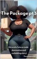 The Package pt.3: by Thereshegoes123