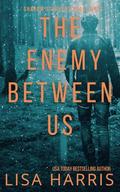 The Enemy Between Us: Shadow Stalkers Book Three by LISA HARRIS