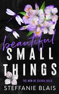 Beautiful Small Things by Steffanie Blais