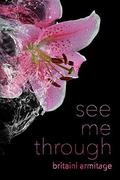 See Me Through (You and Me #2) by Britaini Armitage