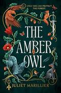 The Amber Owl (Heartwood #1) by Juliet Marillier