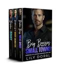 Big Bosses in Small Towns: Enemies To Lovers Romance Box Set by Lily Doral