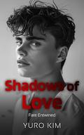Shadows of Love: A Forbidden Love in the World of Law (Verdict of Hearts #4) by The Origin Books