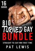Big Turned Gay Bundle: Straight to Gay MM First Time Anthology Collection by Pat Lewis