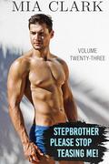Stepbrother, Please Stop Teasing Me! (Volume Twenty-Three) (Stepbrother, Please! #23) by Mia Clark