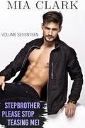 Stepbrother, Please Stop Teasing Me! (Volume Seventeen) (Stepbrother, Please! #17) by Mia Clark