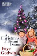 A Christmas of Distant Dreams by Faye Godwin