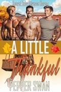 A Little Thankful: A Secret Baby Reverse Harem Romance (Small Town Lovers #8) by Pepper Swan