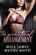 A Practical Arrangement by Mira James