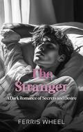 The Stranger: Dark Romance, Betrayal, and Double Lives (Veiled Passions #1) by The Origin Books