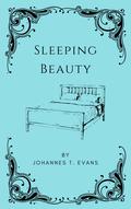 Sleeping Beauty by Johannes T. Evans