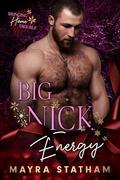 Big Nick Energy (Bringing Home Trouble #8) by Julia Goda