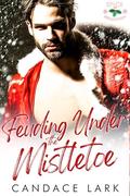 Feuding Under the Mistletoe (Spice and Seduction) by Candace Lark