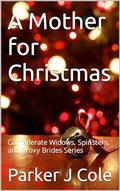 A Mother for Christmas by Parker J. Cole