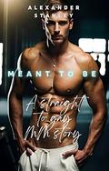 Meant to Be (Straight to Gay in a Blink #1) by Alexander Stanley