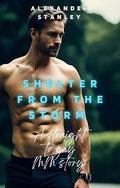 Shelter From The Storm (Straight to Gay in a Blink #3) by Alexander Stanley