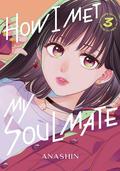 How I Met My Soulmate Vol. 3 by Anashin