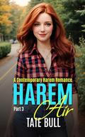 Harem Air : A Contemporary MFFF Harem (part #3) by Tate Bull