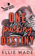One Pucking Destiny: A Forbidden Love, Secret Relationship Hockey Romance (Crane Hockey #4) by Ellie Wade