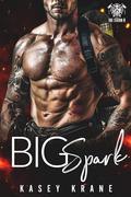 Big Spark (Fire Station #11) by Kasey Krane