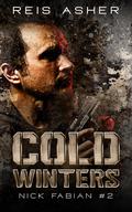Cold Winters (Nick Fabian #2) by Reis Asher