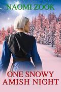 One Snowy Amish Night by Naomi Zook