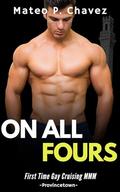 On All Fours: First Time Gay Cruising MMM - Provincetown by Mateo P. Chavez
