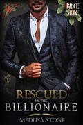 Rescued By The Billionaire: Billionaire's Boy SHORTS (Christmas Edition). by Medusa Stone