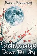 Sideways Down the Sky by Barry Brennessel