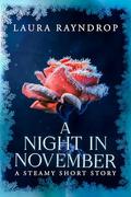 A Night in November: A Steamy Short Story by Laura Rayndrop