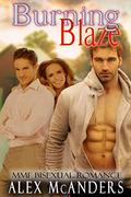 Burning Blaze by Alex McAnders