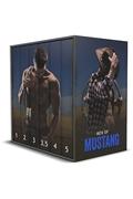 Men of Mustang: Complete Boxset by Eva Haining