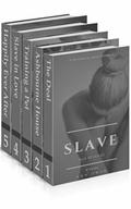 Slave for Revenge: The Complete Series Box Set by Ann Owen