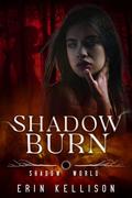 Shadow Burn (Shadow World Novellas #4) by Erin Kellison