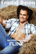 Flint: Shifters in the Law Find Mates (Supernatural Lawmen #2) by Em Editing