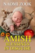 Amish Blessings in Disguise by Naomi Zook