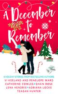 A December to Remember by Lena Hendrix