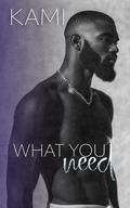 What You Need by Kami Holt