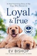 Loyal & True : A Heartwarming Story of the Dogs Who Rescue Us by Ev Bishop