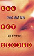 One Hot Second: Stories About Desire by Nancy Garden
