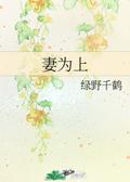 The Wife is First 妻為上 by Lu Ye Qian He