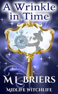 A Wrinkle in Time by M.L. Briers